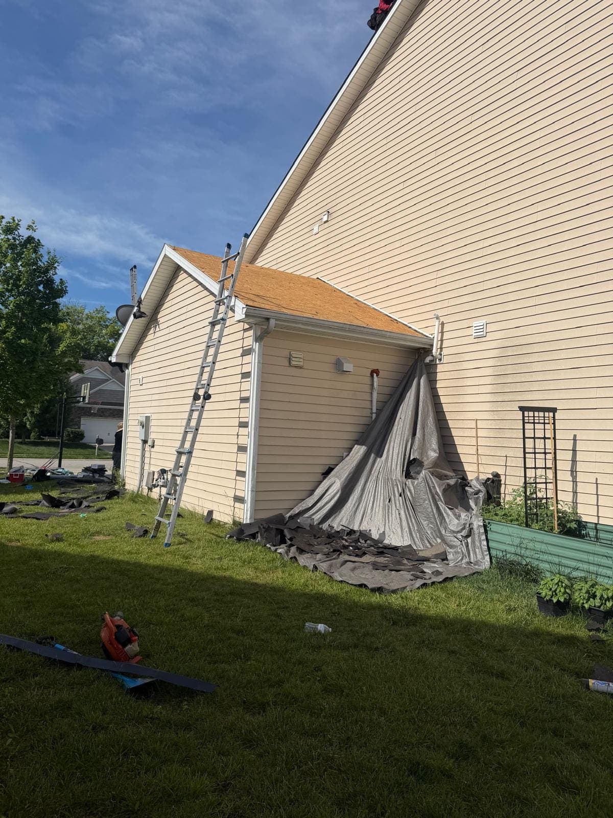 Roof tear-off in progress with tarps draped over landscaping and garden beds to protect them